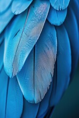 A detailed view of the texture and pattern of navy blue bird feathers up close