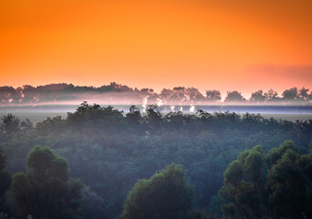 Red sunrise over the field with trees and forest . Morning at summer . Fog over the field and trees...