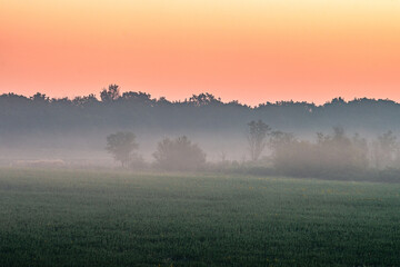 Red sunrise over the field with trees and forest . Morning at summer . Fog over the field and trees . Beautiful landsapes . Red sky and blue hour on nature . Smoothly foggy morning 