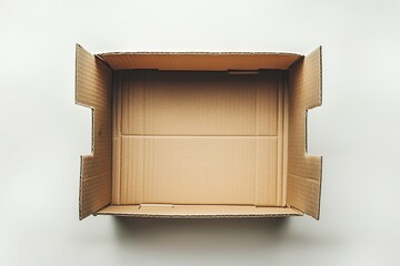 Open brown cardboard box showcasing space for potential content