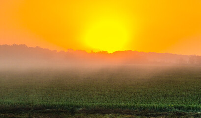 Red sunrise over the beautiful field and trees . Red clouds and sky with sun. Sun over the trees . Summer field at morning . Fog and sky . Beautiful landscape at summer with fog 
