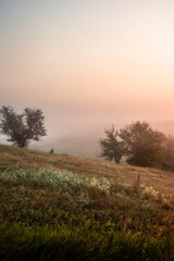 Red sunrise over the beautiful field and trees . Red clouds and sky with sun. Sun over the trees . Summer field at morning . Fog and sky . Beautiful landscape at summer with fog 
