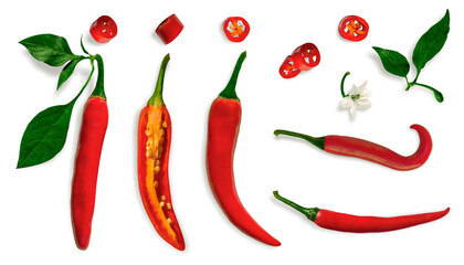 Red hot chili pepper, whole, half, pieces, slices with flower and leaves on an isolated transparent...