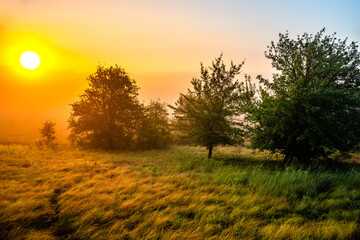 Red sunrise over the beautiful field and trees . Red clouds and sky with sun. Sun over the trees . Summer field at morning . Fog and sky . Beautiful landscape at summer with fog 