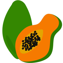 Papaya Illustration