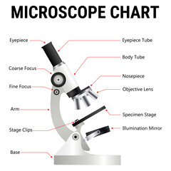 Microscope vector diagram, Realistic microscope, pharmaceutical instrument, microbiology magnifying tool. Symbol of science, chemistry, and exploration. Vector lab microscope