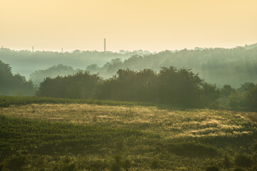 Fog over the field at summer . Green forest and lights of sun at the morning . Foggy morning over...