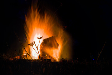 A campfire closeup, slow shutter speed, silhouette of plants on the background of fire shot 2