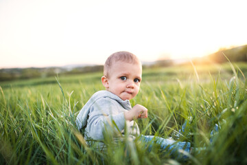 Cute toddler sitting in grass. Baby on family walk k in spring nature. Happy family moment for new parents