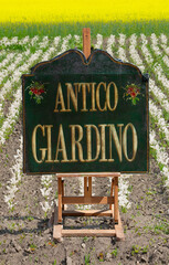 Old Garden sign in blooming field