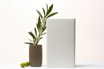 Olive tall product box copy space is isolated against a white background for ad advertising sale alert or news blank copyspace for design text photo website 