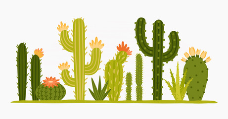 Mexican desert cactus green cartoon collection flora flora. Illustration of green mexican flora, flower plant succulent collection vector