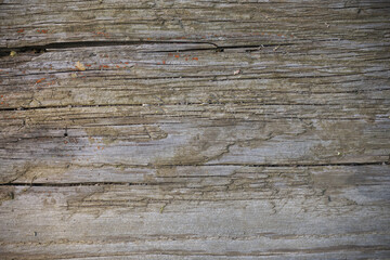 Textured wooden surface featuring a range of grey-brown colors