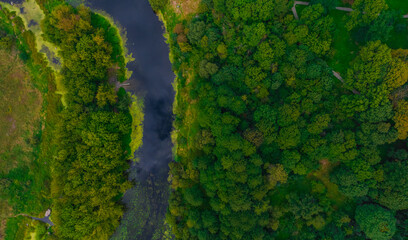 aerial view of nature country side environment forest trees green color and river water stream