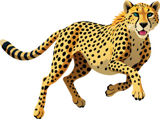 Cheetah accelerating running carnivorous wild animal