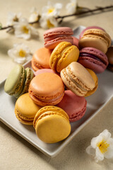 Macarons cookies in a plate, french macarons. Spring flowers on background