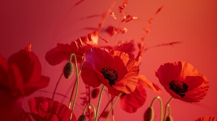 Bold contrast red poppies on red backdrop, vibrant tribute, Ai Generated