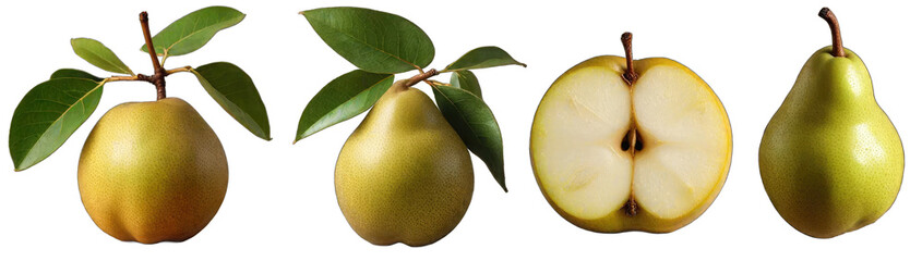 Isolated set of pears on white