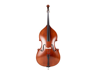a close up of a double bass