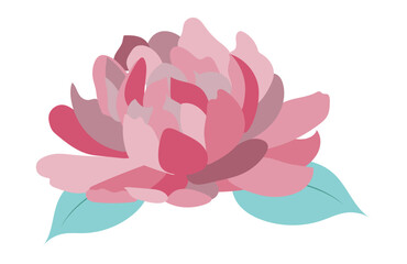Peony head in flat design. Pink blooming rose flower with green leaves. Vector illustration isolated.
