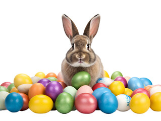 a rabbit surrounded by colored eggs