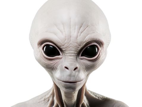 a close up of a alien