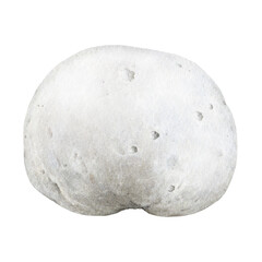 Giant puffball mushroom watercolor illustration. Hand drawn Calvatia gigantea fungus on white background. Giant puffball element painted illustration