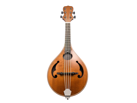 a close up of a stringed instrument