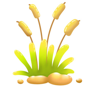 Grass Flower