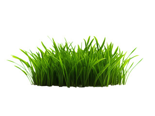 a close up of grass