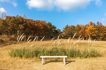 bench in autumn park