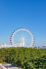 ferris wheel in the park
