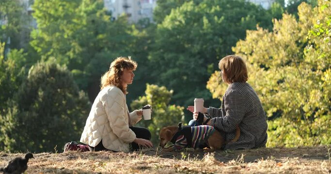 Two friends talking and laughing sitting on the grass in a park. Drinking coffee to go, with small dog in the sweater. Sunny evening light, weekend concept. High quality video footage 4k