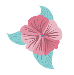 Abstract pink petunia in flat design. Blooming flower head with leaves. Vector illustration isolated.