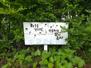 Old signs and supportive phrases on the side of the road in the forest
