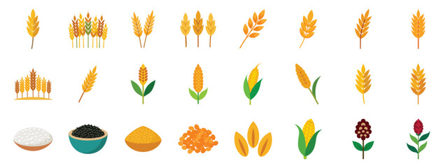 Collection of Grain and Cereal Icons, vector flat cartoon illustration - wheat, corn, oats, barley, rye, rice, quinoa and others.