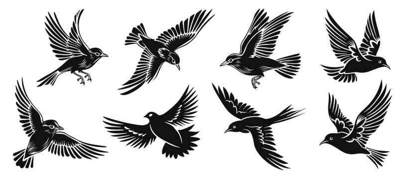 Flying birds vector illustration. Bird fly hand drawn black on white background. Animal silhouette.