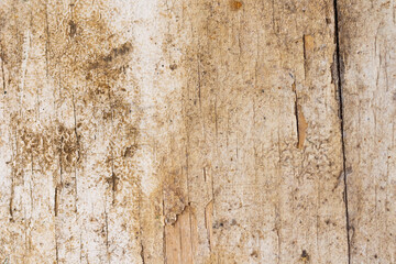 The texture of an old wooden surface covered with white paint
