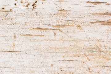 The texture of an old wooden surface covered with white paint