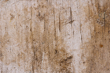 The texture of an old wooden surface covered with white paint