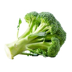 Broccoli isolated on white background