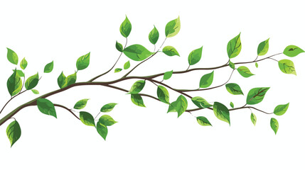 Cute green branch over white Vector illustration. Vector