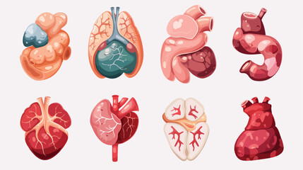 Cute human organs icons set Vector illustration. Vector