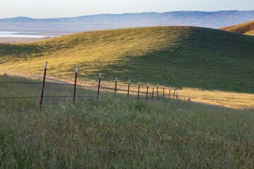 Fence along a Old soft grass and flower covered hills. Carrizo National Monument, Santa Margarita, California, United States of America. © Zenstratus