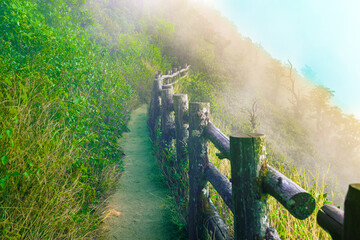 Mountain walkway covered by sea of ​​mist at Kew Mae Pan Nature Trail within Doi Inthanon...