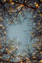 Beautiful fairy lights pattern with tree branches around the frame with blank center for background