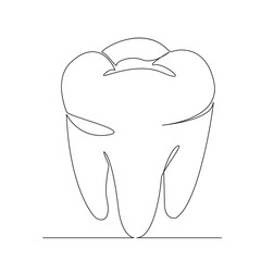 molar tooth