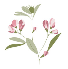 Abstract pink pea flower on twig in flat design. Blooming plant branch. Vector illustration isolated.