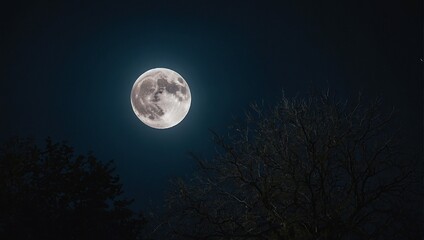 Fototapeta premium full moon at night abstract