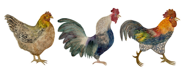 Two multi-colored roosters and a brown hen, watercolor isolated objects on a white background © Elena